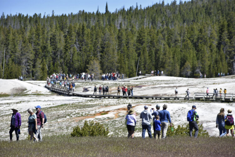 Much of northern Yellowstone park to reopen Saturday